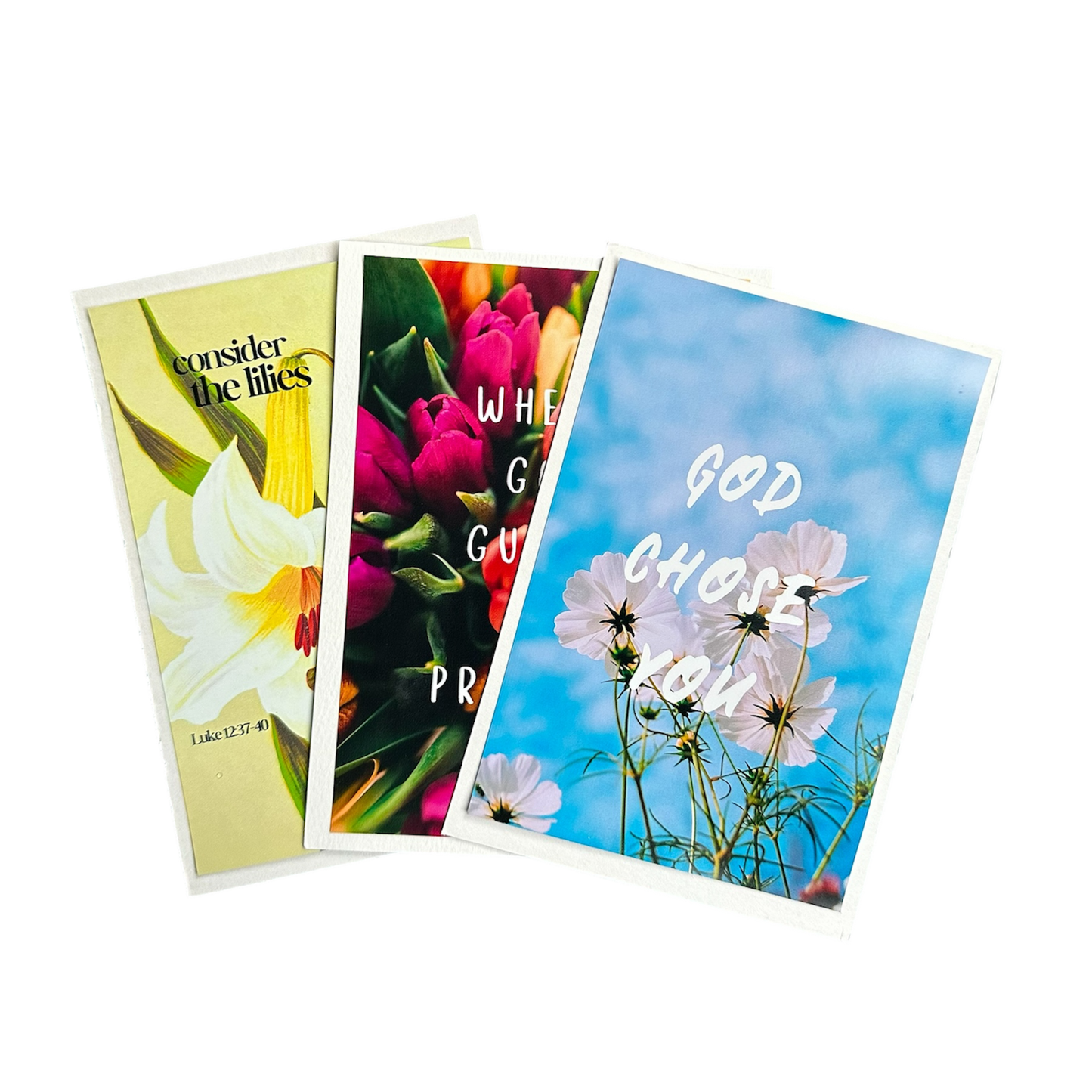 Mystery Photo Prints