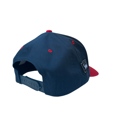 Embroidered Snapback